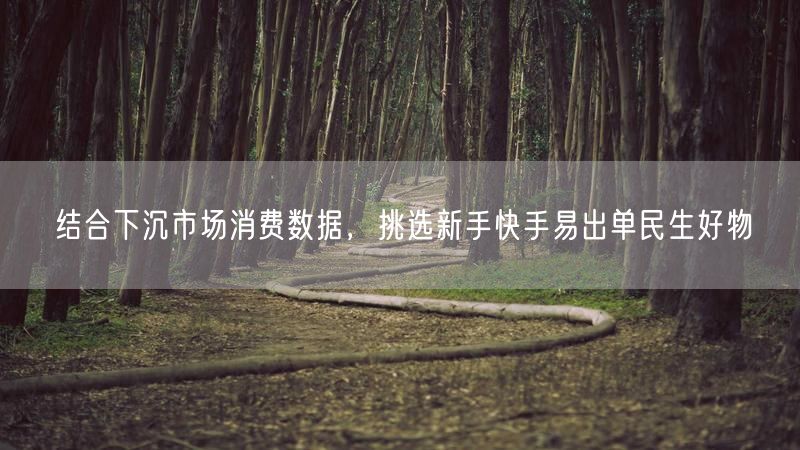 结合下沉市场消费数据,挑选新手快手易出单民生好物