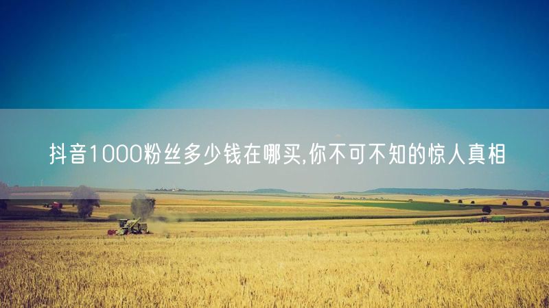 抖音1000粉丝：价格、风险与真实涨粉秘籍