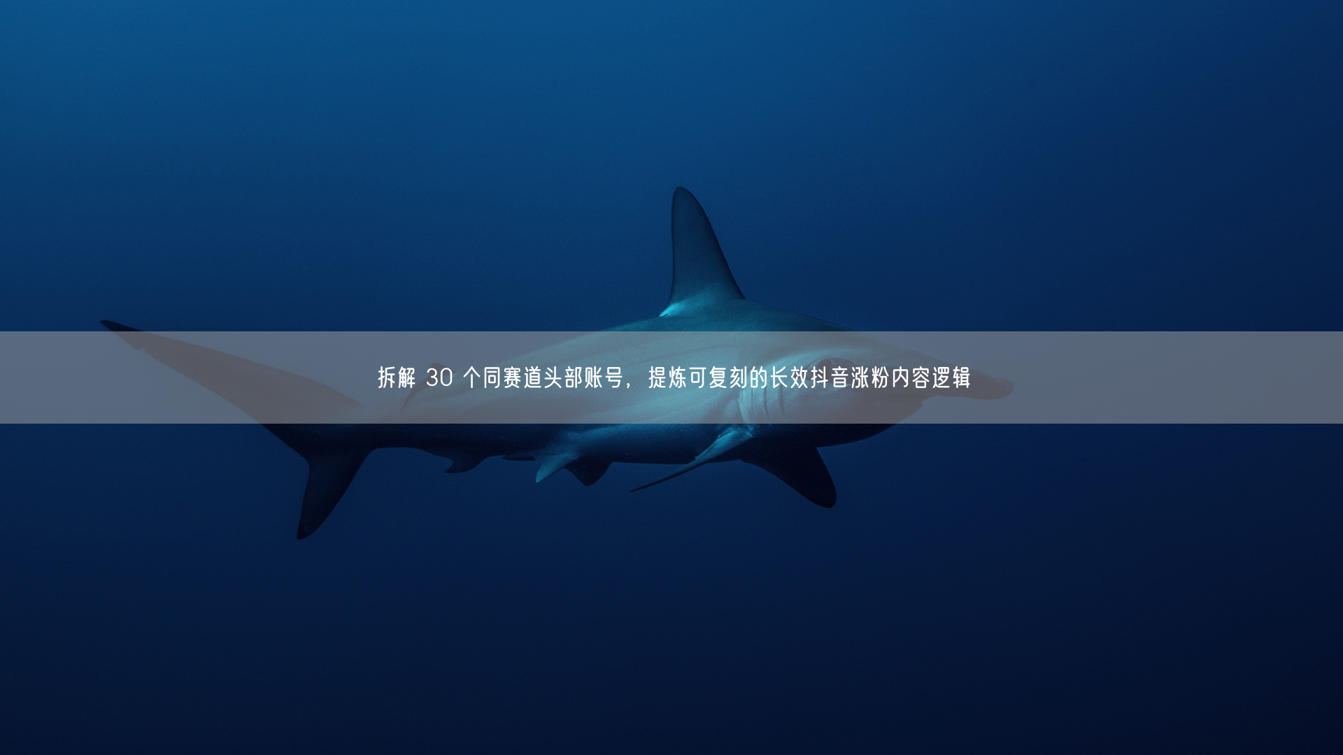 拆解 30 个同赛道头部账号，提炼可复刻的长效抖音涨粉内容逻辑