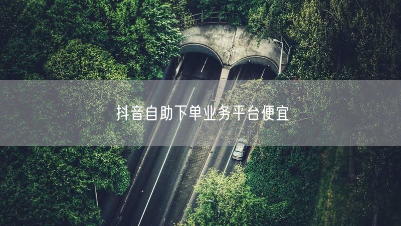 抖音自助下单业务平台便宜