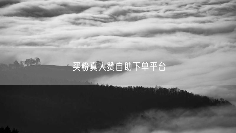 买粉真人赞自助下单平台