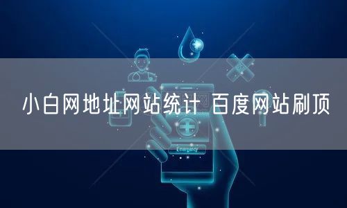 小白网地址网站统计 百度网站刷顶