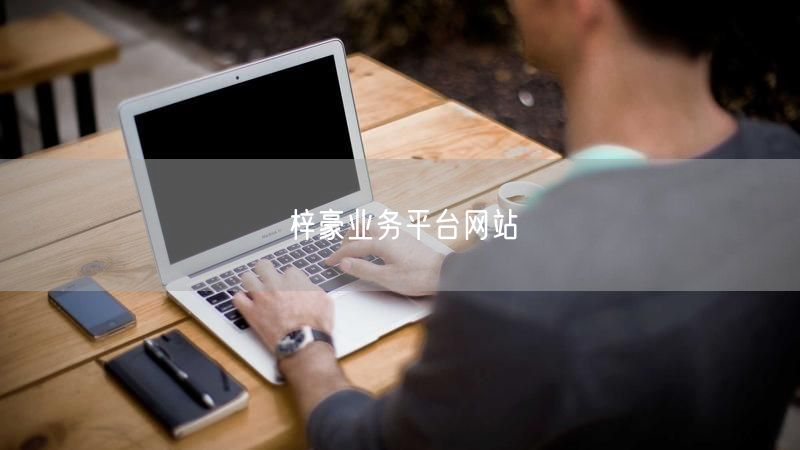 梓豪业务平台网站