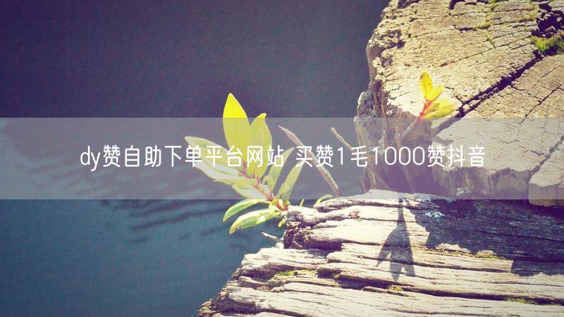 dy赞自助下单平台网站 买赞1毛1000赞抖音