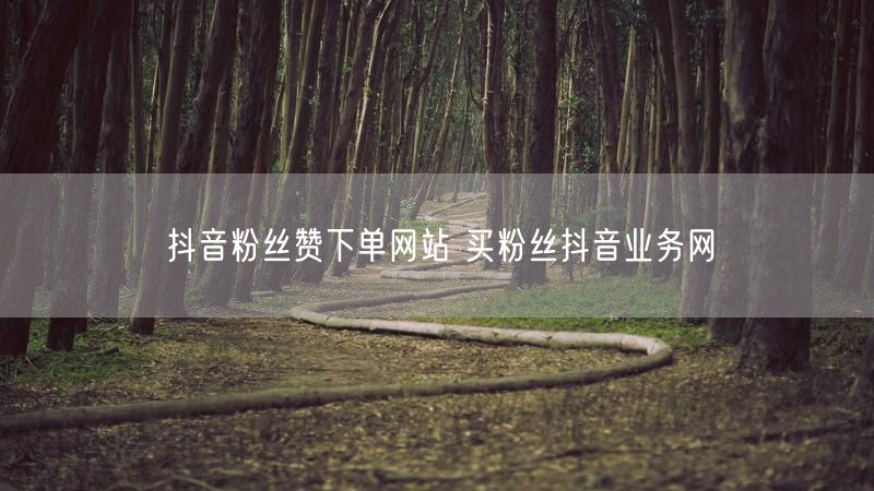抖音粉丝赞下单网站 买粉丝抖音业务网