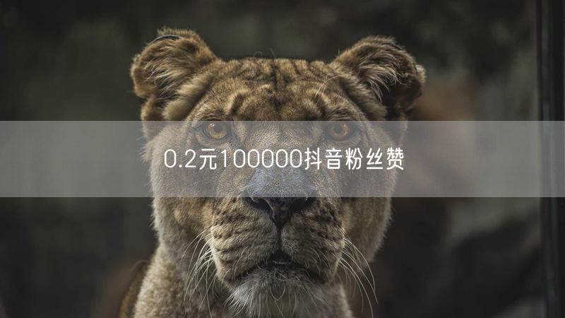 0.2元100000抖音粉丝赞