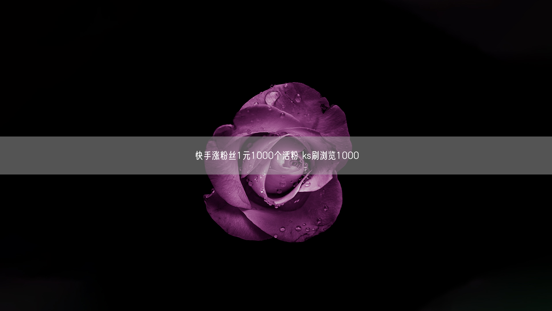 快手涨粉丝1元1000个活粉 ks刷浏览1000