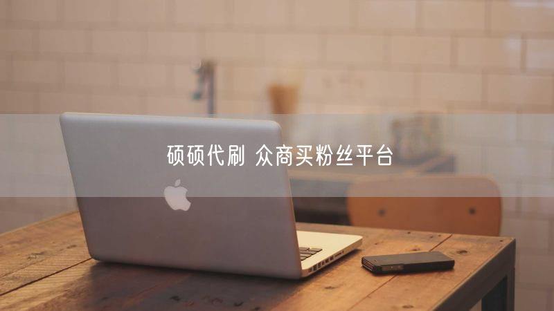 硕硕代刷 众商买粉丝平台