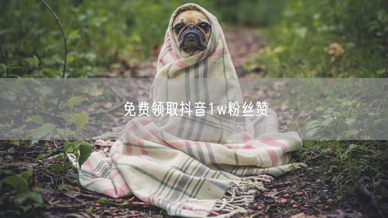 免费领取抖音1w粉丝赞