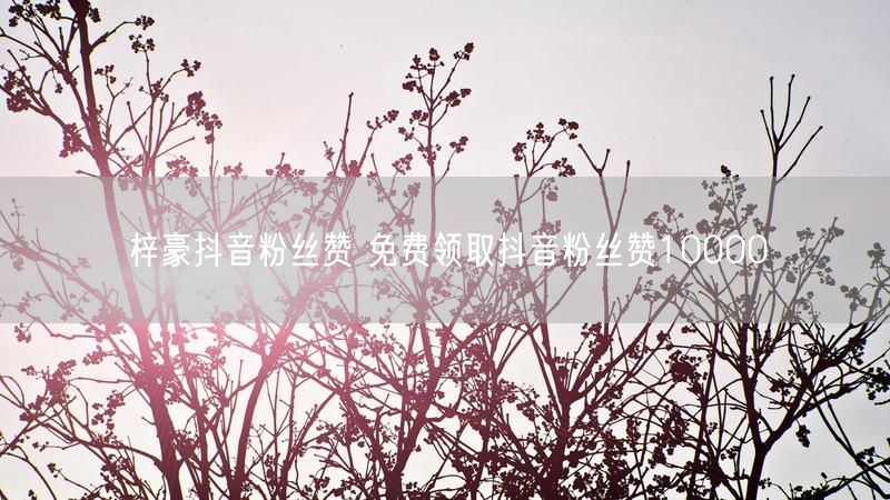 梓豪抖音粉丝赞 免费领取抖音粉丝赞10000