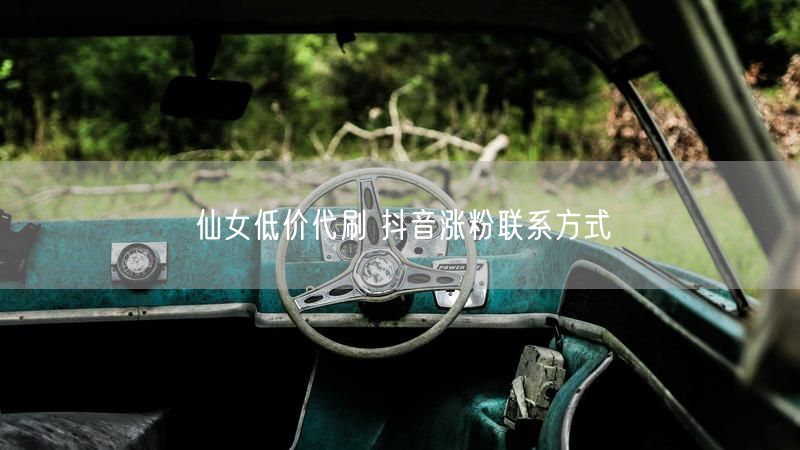 仙女低价代刷 抖音涨粉联系方式
