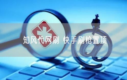 知风代网刷 快手刷枪置顶