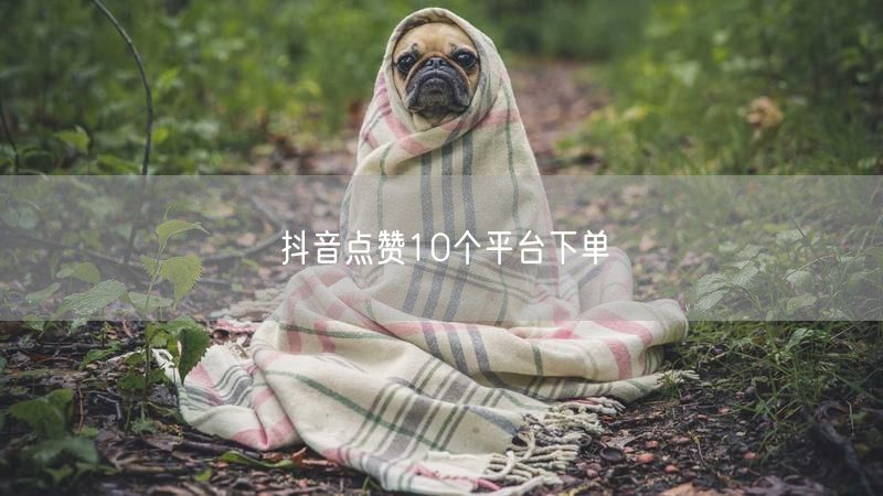 抖音点赞10个平台下单