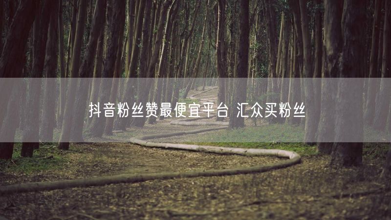 抖音粉丝赞最便宜平台 汇众买粉丝