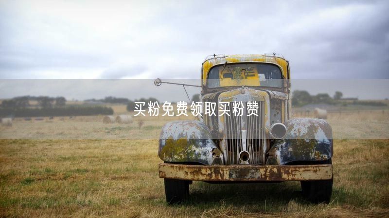 买粉免费领取买粉赞