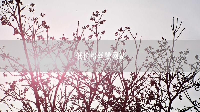 低价粉丝赞网站