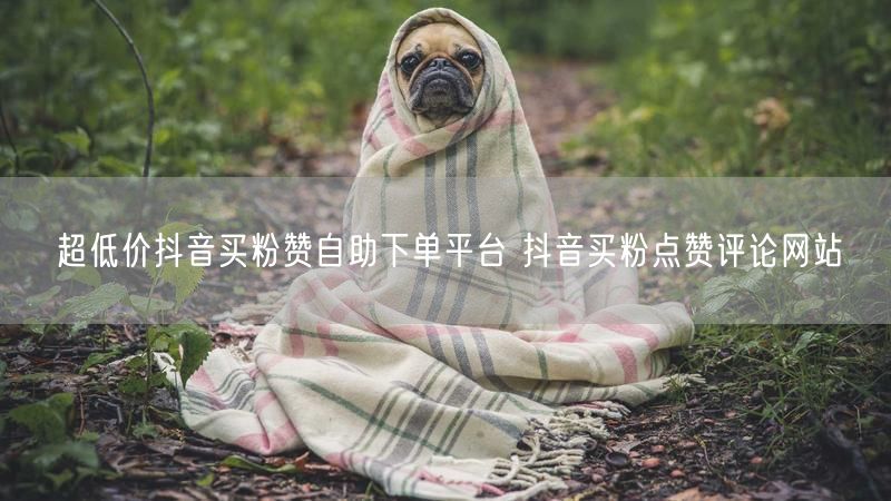 超低价抖音买粉赞自助下单平台 抖音买粉点赞评论网站