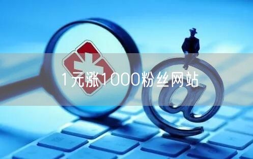 1元涨1000粉丝网站