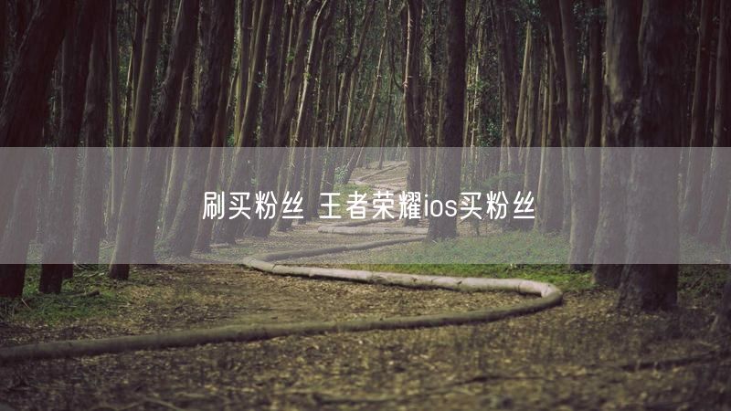 刷买粉丝 王者荣耀ios买粉丝