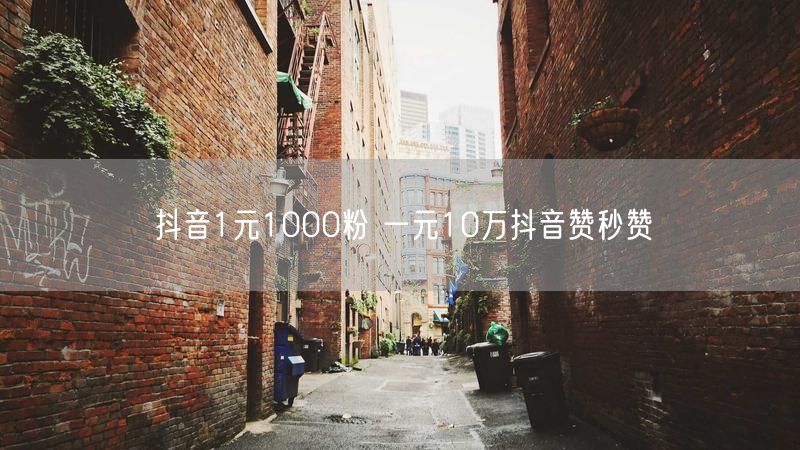 抖音1元1000粉 一元10万抖音赞秒赞