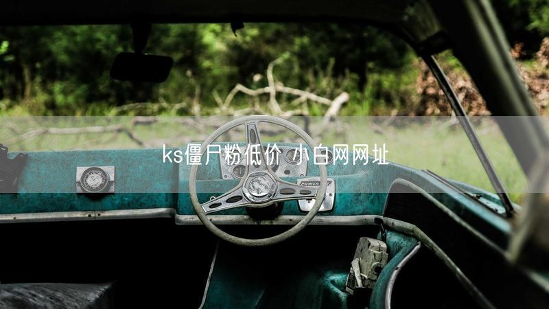 ks僵尸粉低价 小白网网址