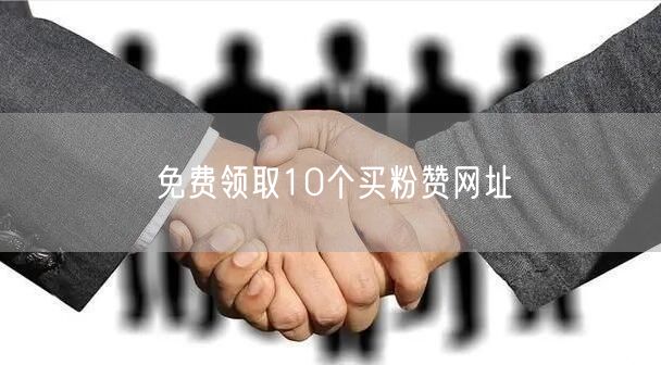 免费领取10个买粉赞网址