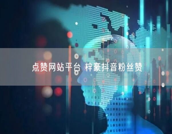 点赞网站平台 梓豪抖音粉丝赞