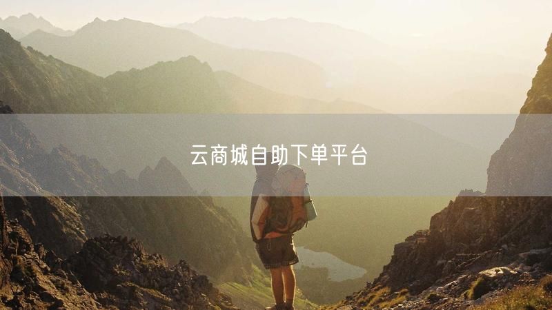 云商城自助下单平台