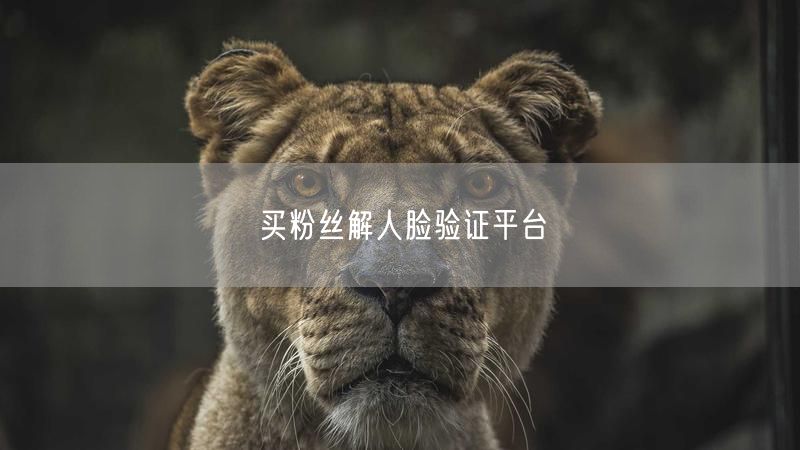 买粉丝解人脸验证平台