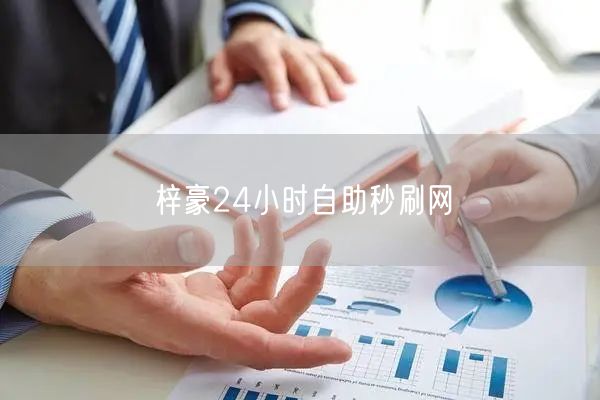 梓豪24小时自助秒刷网