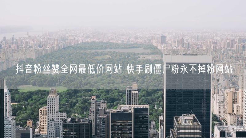 抖音粉丝赞全网最低价网站 快手刷僵尸粉永不掉粉网站