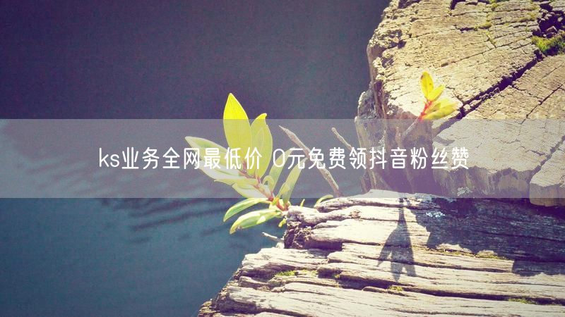 ks业务全网最低价 0元免费领抖音粉丝赞