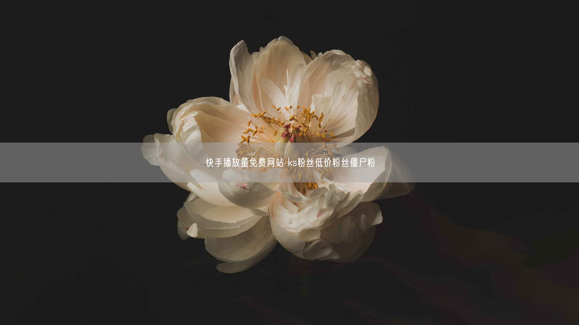 快手播放量免费网站 ks粉丝低价粉丝僵尸粉