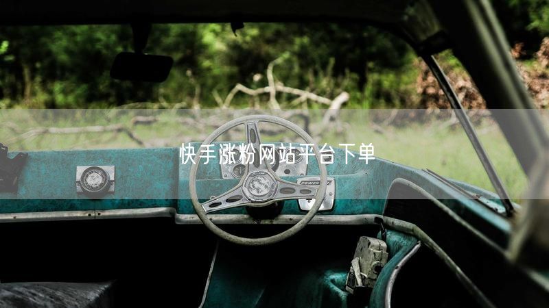 快手涨粉网站平台下单
