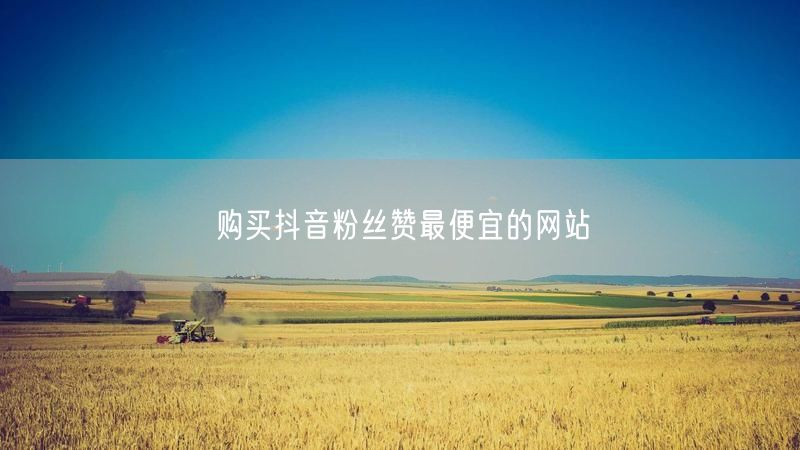 购买抖音粉丝赞最便宜的网站