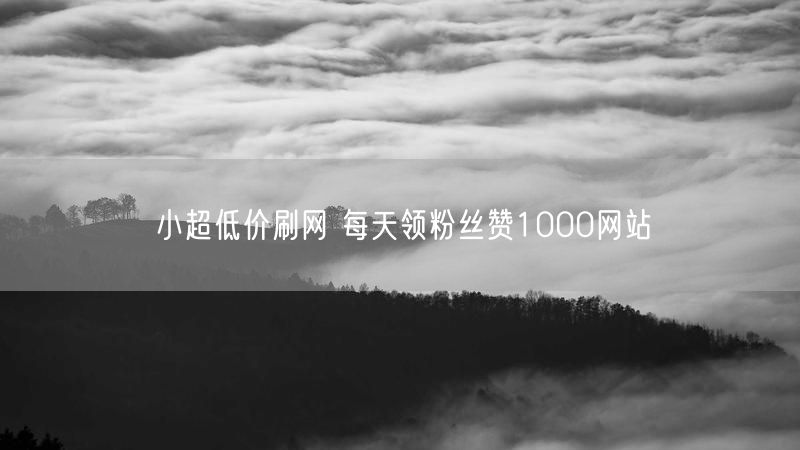 小超低价刷网 每天领粉丝赞1000网站