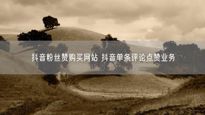抖音粉丝赞购买网站 抖音单条评论点赞业务