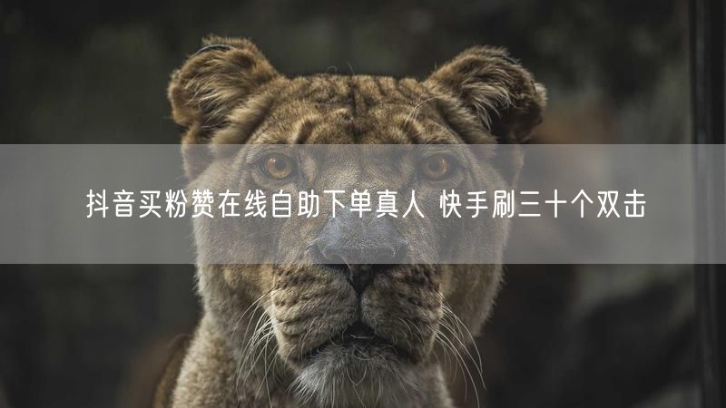 抖音买粉赞在线自助下单真人 快手刷三十个双击