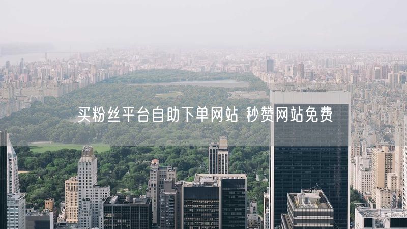 买粉丝平台自助下单网站 秒赞网站免费