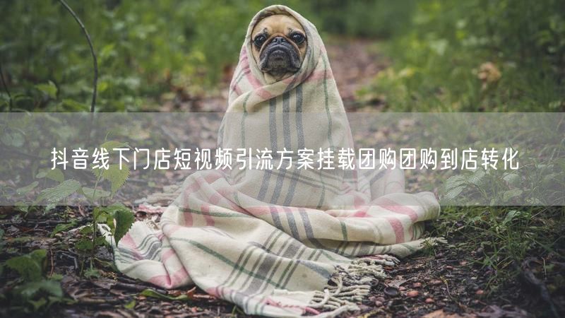 抖音线下门店短视频引流方案挂载团购团购到店转化
