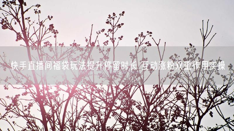 快手直播间福袋玩法提升停留时长 互动涨粉双重作用实操