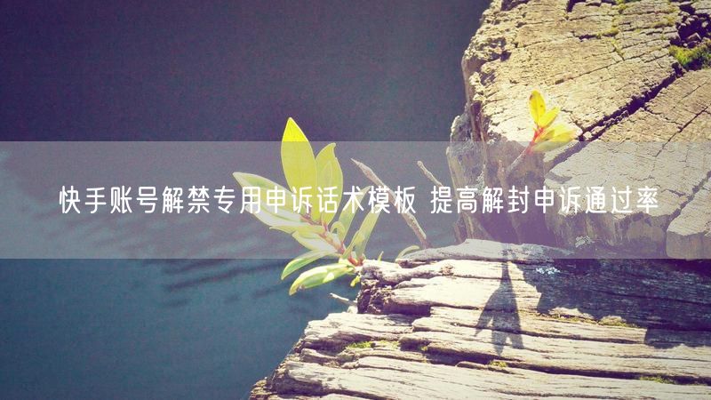 快手账号解禁攻略：申诉话术模板提升解封通过率