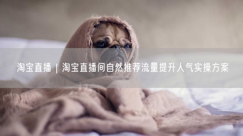 淘宝直播｜淘宝直播间自然推荐流量提升人气实操方案