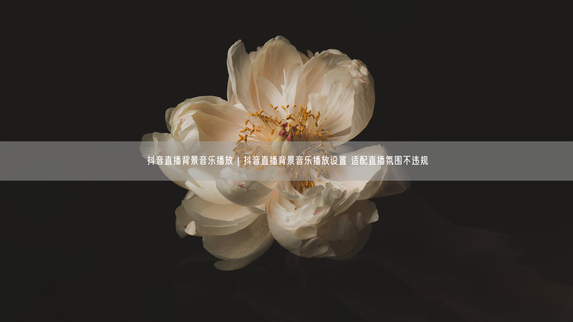 抖音直播背景音乐设置指南：选对音乐，营造氛围不违规